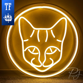 PJ NEON